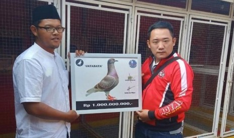 Detail Merpati Kolong Termahal Nomer 21