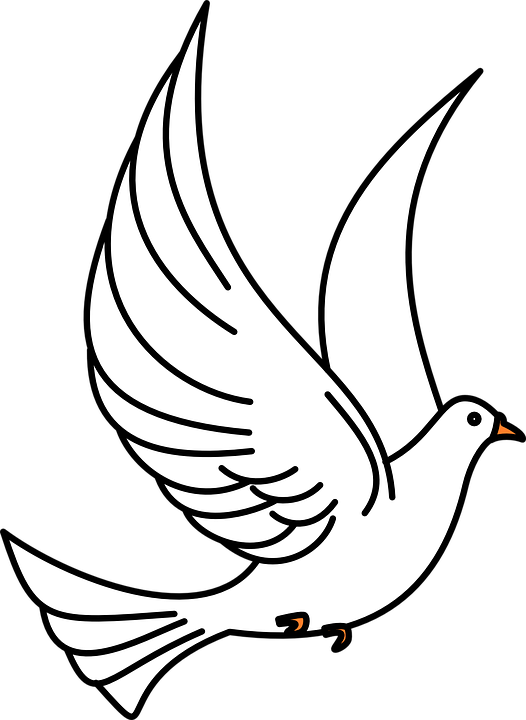 Detail Merpati Putih Vector Nomer 3