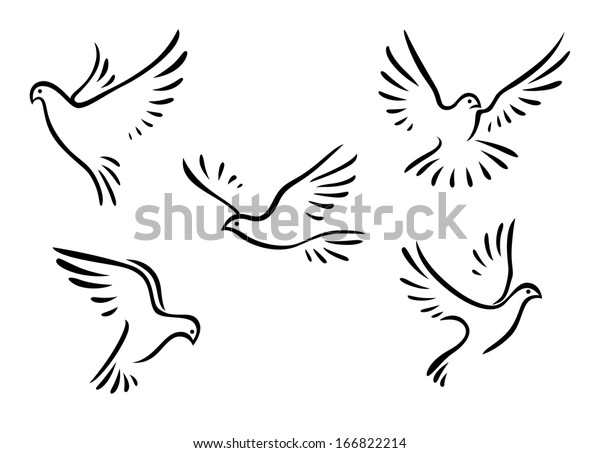 Detail Merpati Vector Nomer 18