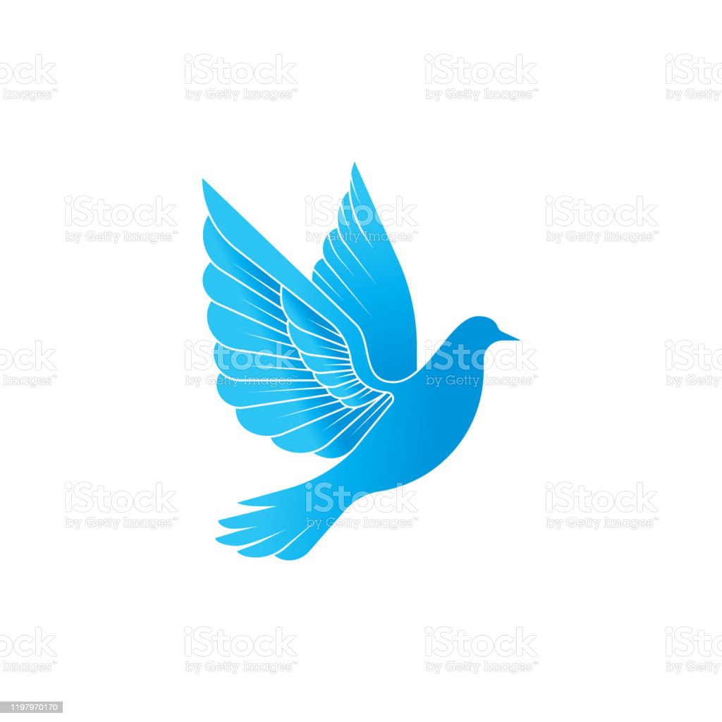 Detail Merpati Vector Nomer 24