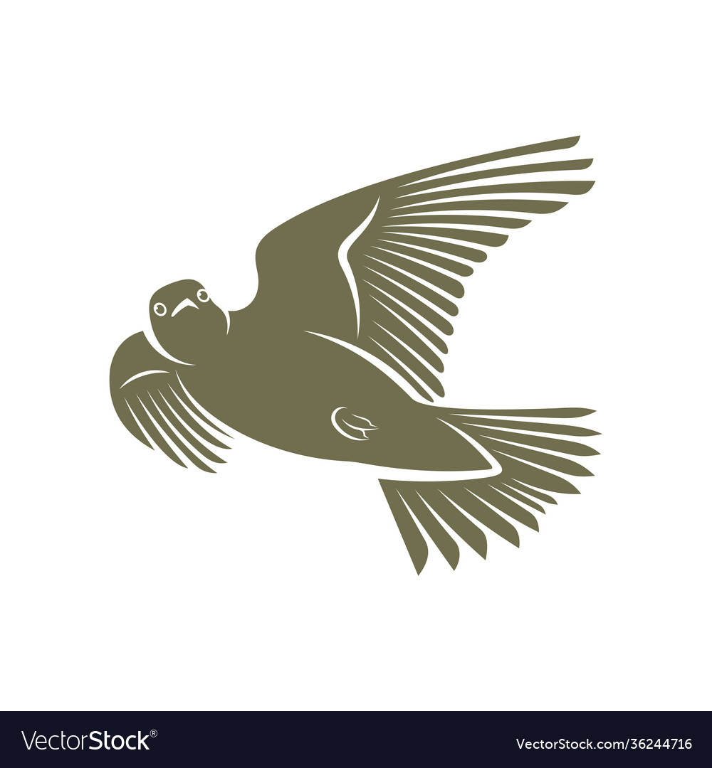 Detail Merpati Vector Nomer 26