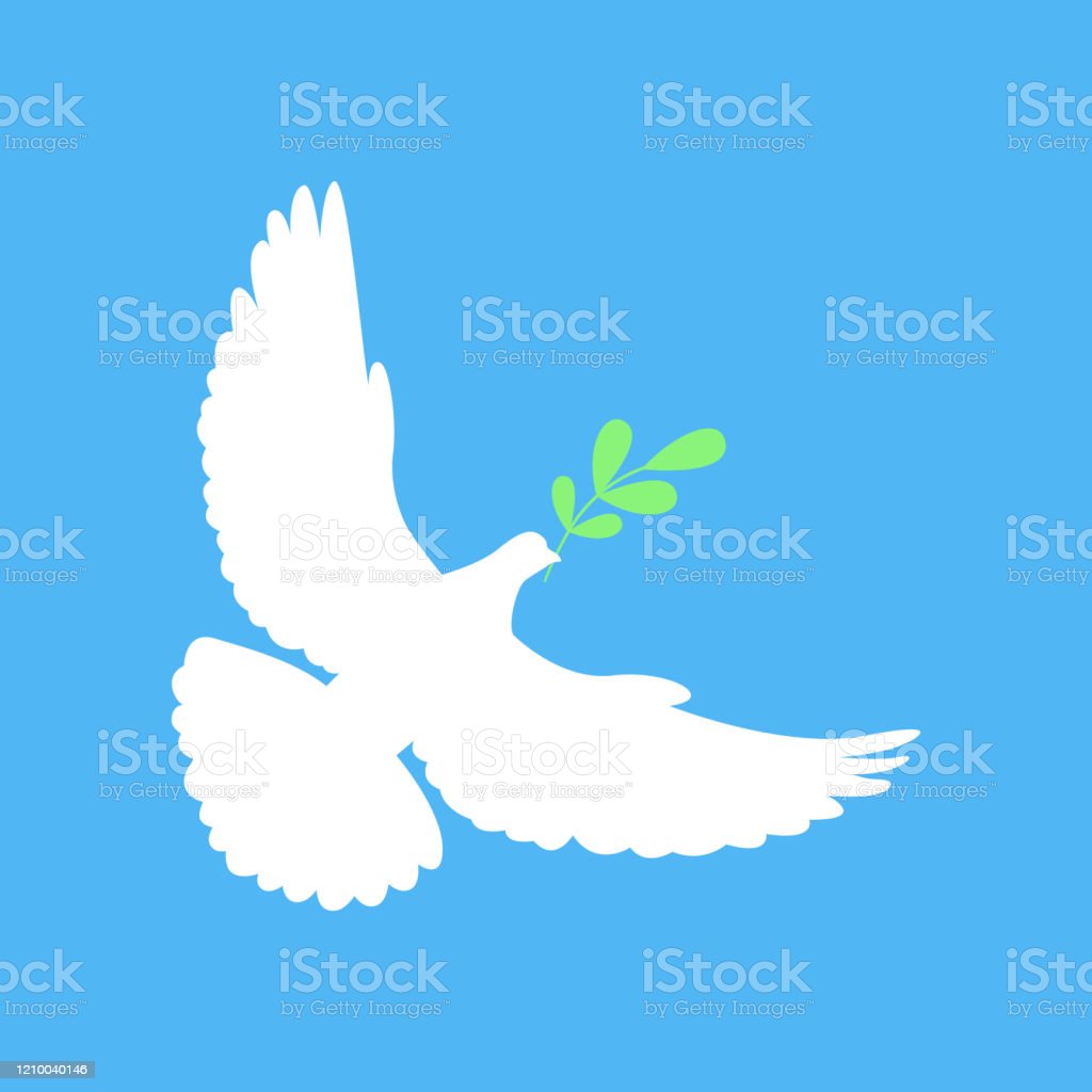 Detail Merpati Vector Nomer 32