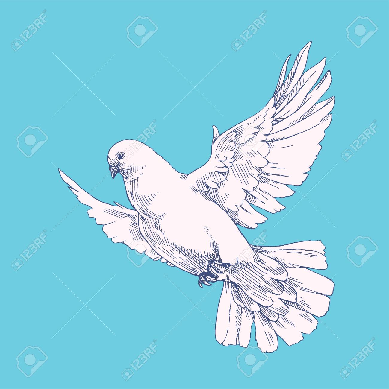Detail Merpati Vector Nomer 39