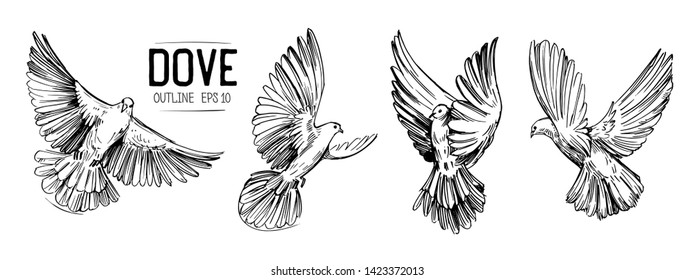 Detail Merpati Vector Nomer 40
