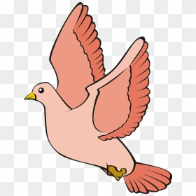Detail Merpati Vector Nomer 42