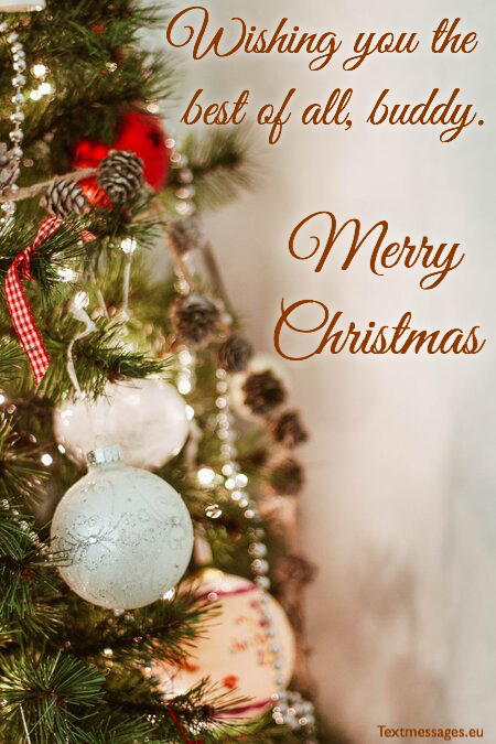 Detail Merry Christmas Quotes For Friends Nomer 4