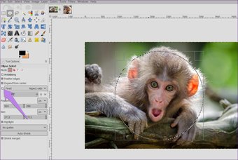 Detail Merubah Gambar Ke Hd Di Gimp Nomer 48