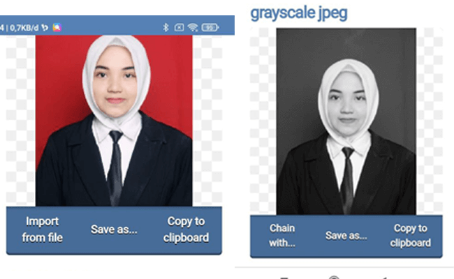 Detail Merubah Gambar Menjadi Hitam Putih Online Nomer 5