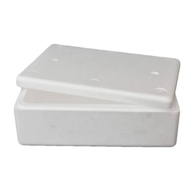 Detail Kotak Styrofoam Kecil Nomer 17