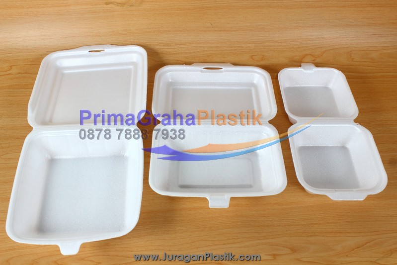 Detail Kotak Styrofoam Kecil Nomer 21