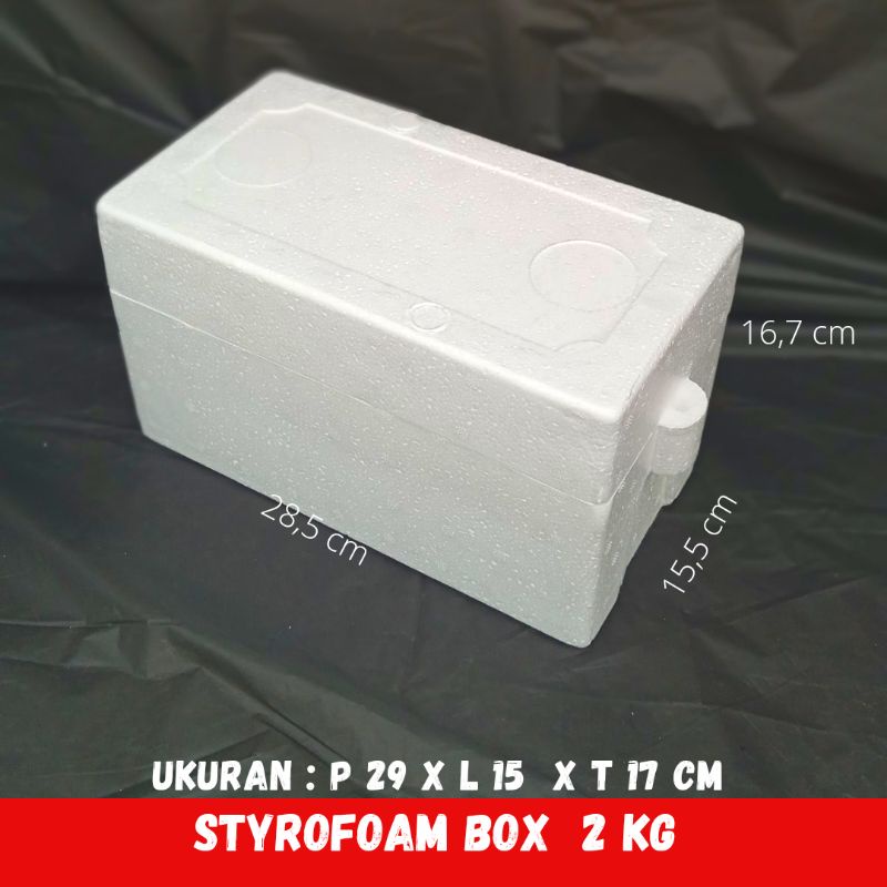 Detail Kotak Styrofoam Kecil Nomer 24