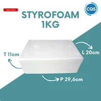 Detail Kotak Styrofoam Kecil Nomer 25