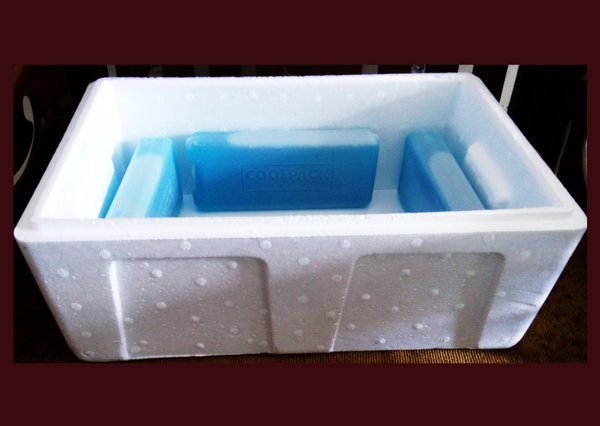 Detail Kotak Styrofoam Kecil Nomer 38