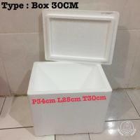 Detail Kotak Styrofoam Kecil Nomer 48