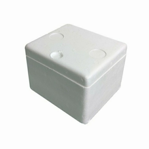Detail Kotak Styrofoam Kecil Nomer 52