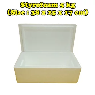Detail Kotak Styrofoam Kecil Nomer 57