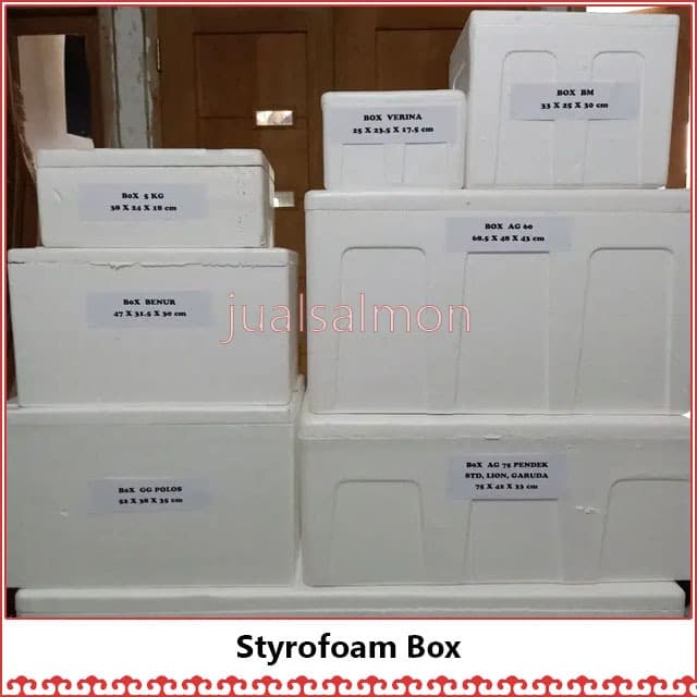 Detail Kotak Styrofoam Kecil Nomer 10