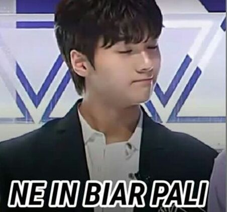 Detail Kpop Meme Indo Nomer 51