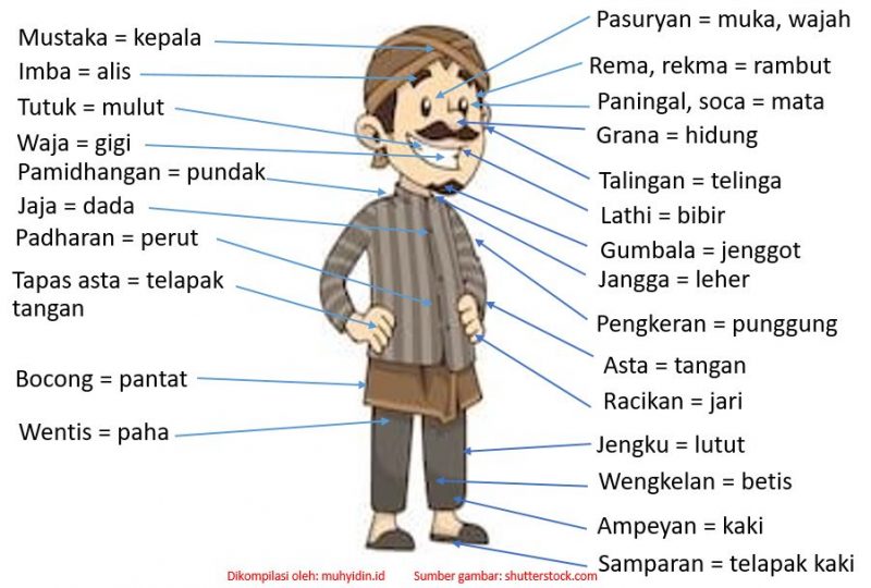 Detail Krama Inggil Tangan Nomer 2