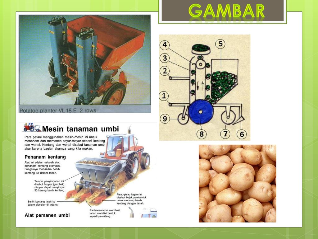 Detail Mesin Penanam Kentang Nomer 30