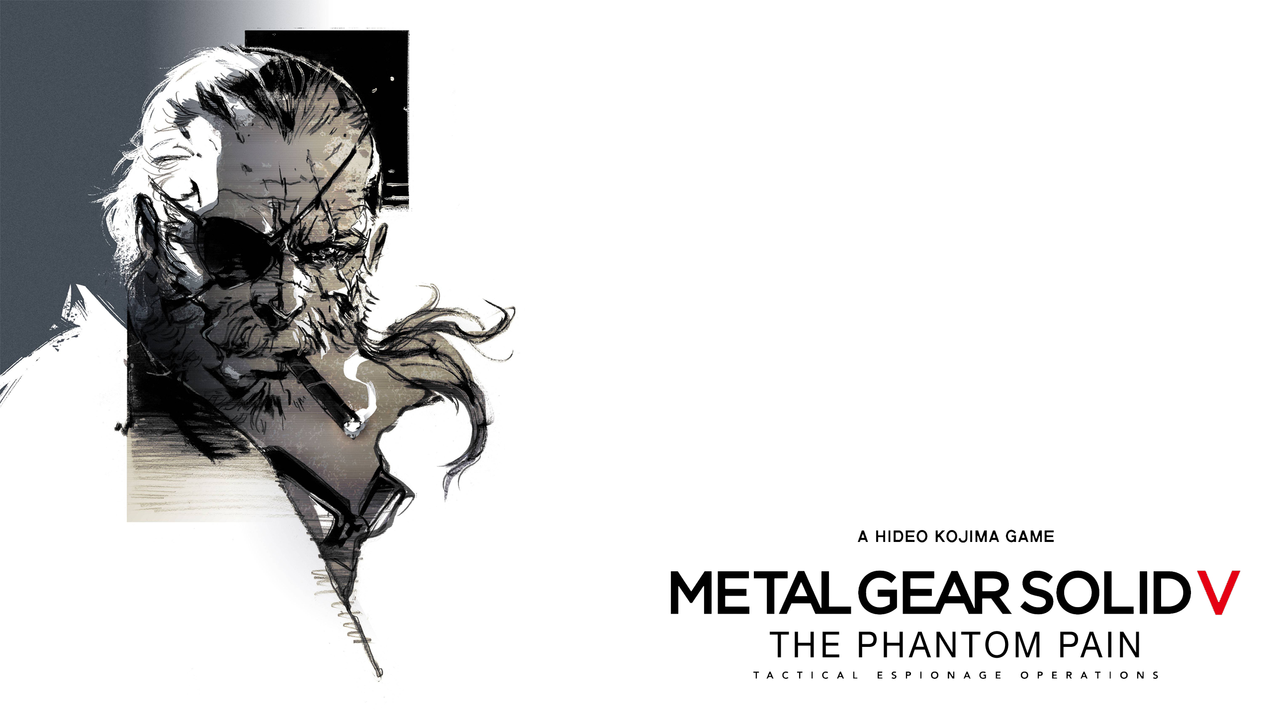 Detail Metal Gear Wallpaper Nomer 48