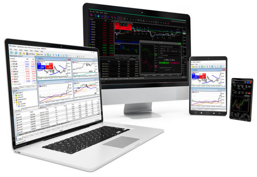 Detail Metatrader White Label Nomer 2
