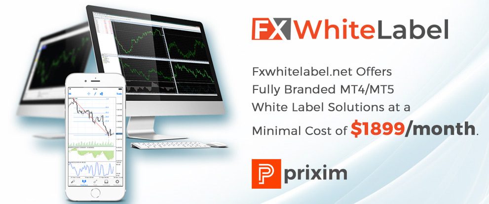 Detail Metatrader White Label Nomer 14