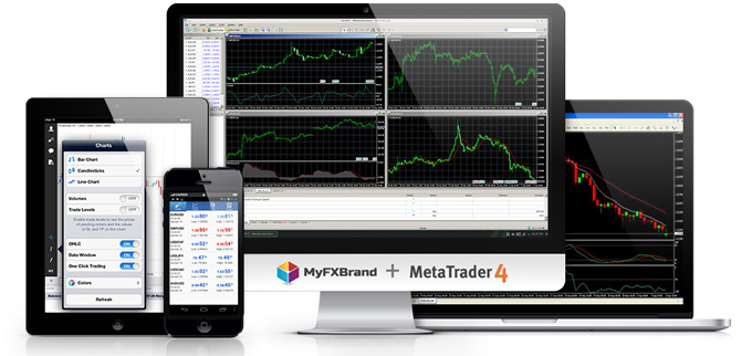 Detail Metatrader White Label Nomer 15