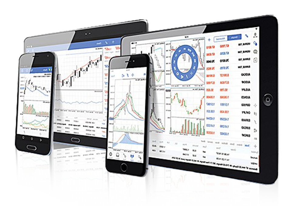 Detail Metatrader White Label Nomer 18