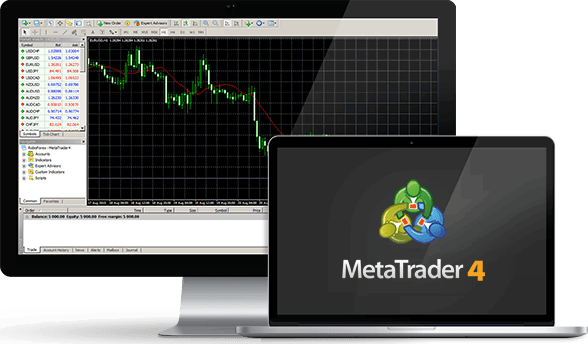 Detail Metatrader White Label Nomer 27