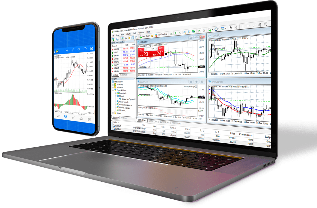 Detail Metatrader White Label Nomer 31