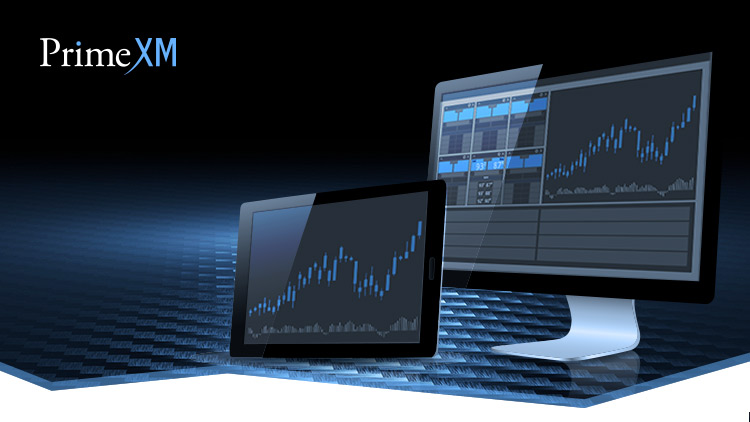 Detail Metatrader White Label Nomer 5