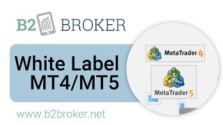 Detail Metatrader White Label Nomer 40