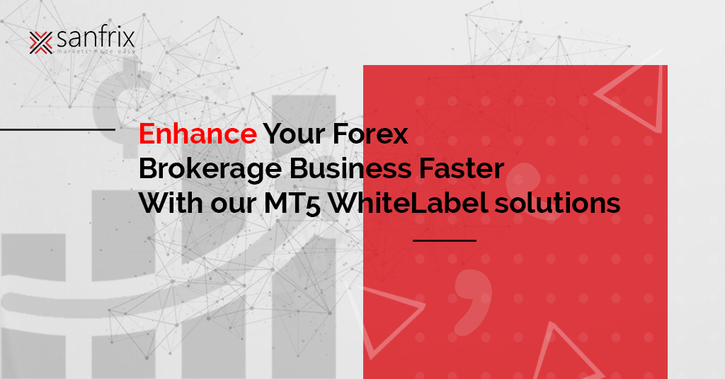 Detail Metatrader White Label Nomer 44