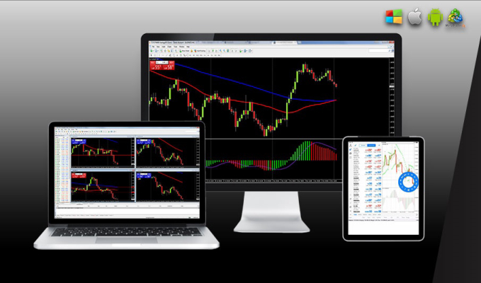 Detail Metatrader White Label Nomer 46