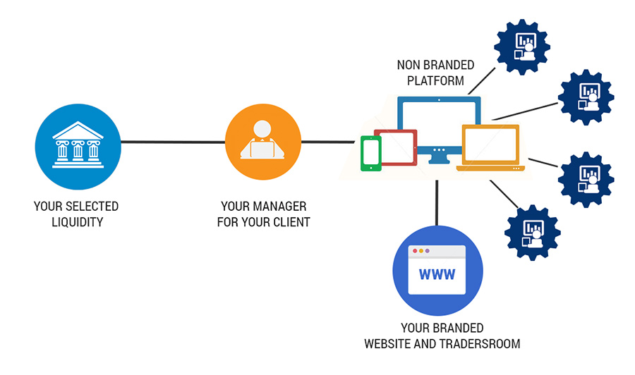 Detail Metatrader White Label Nomer 47