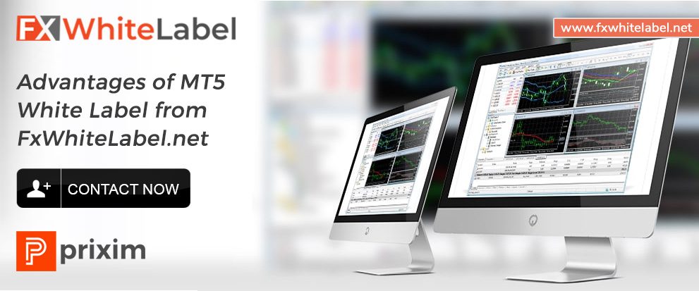 Detail Metatrader White Label Nomer 50