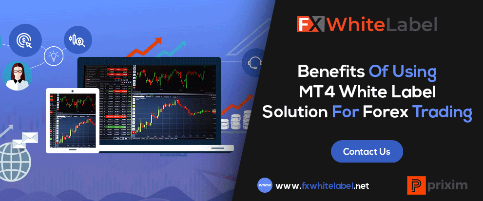 Detail Metatrader White Label Nomer 51