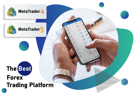 Detail Metatrader White Label Nomer 52