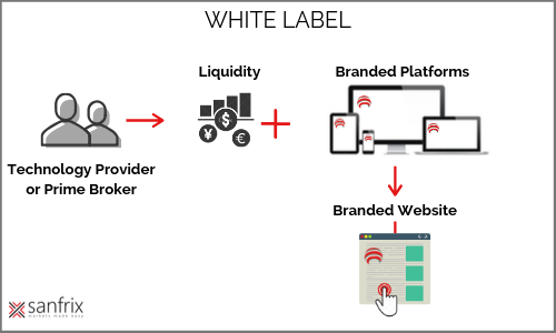 Detail Metatrader White Label Nomer 53