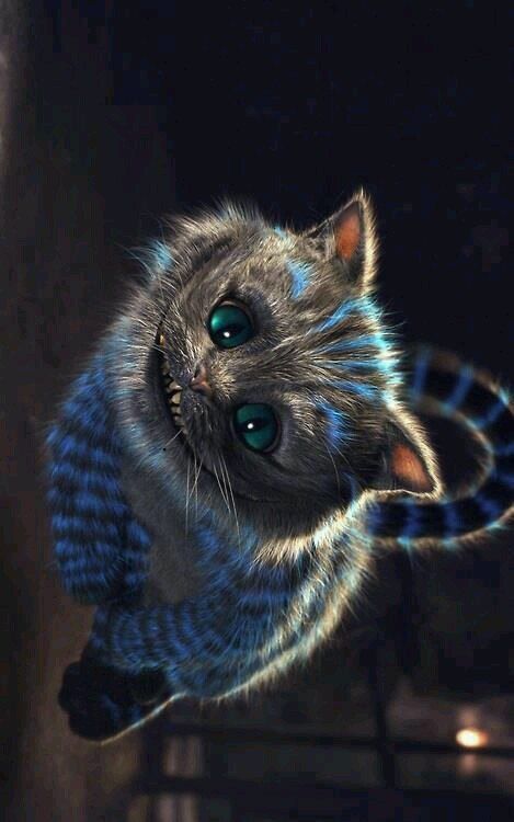 Detail Kucing Alice In Wonderland Nomer 9