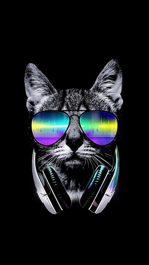 Detail Kucing Background Nomer 17