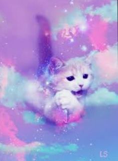 Detail Kucing Background Nomer 43