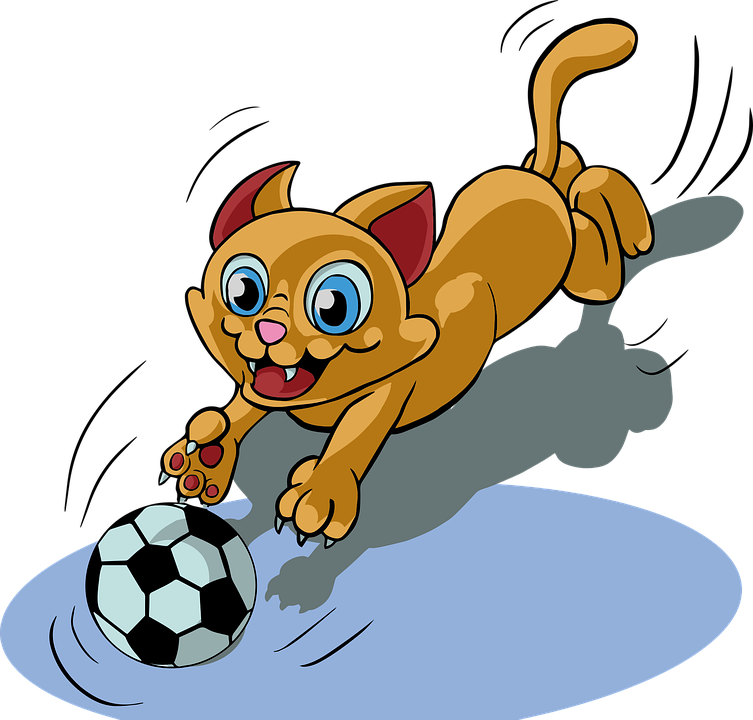 Detail Kucing Bermain Bola Nomer 3