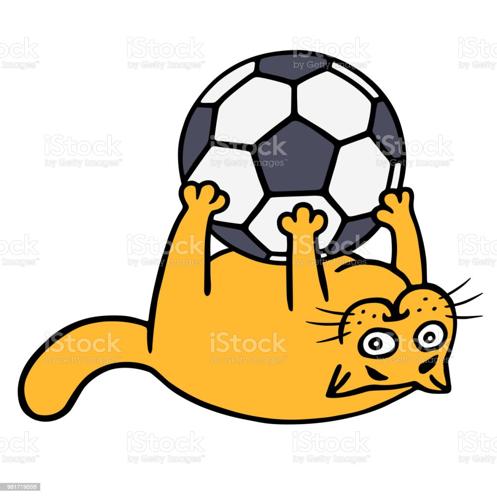 Detail Kucing Bermain Bola Nomer 52