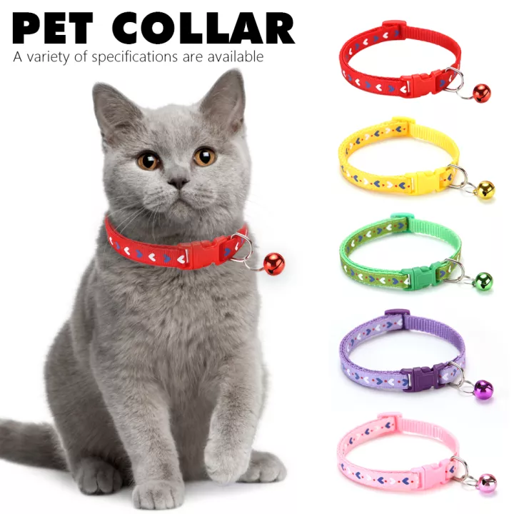 Detail Kucing Berwarna Warni Nomer 21