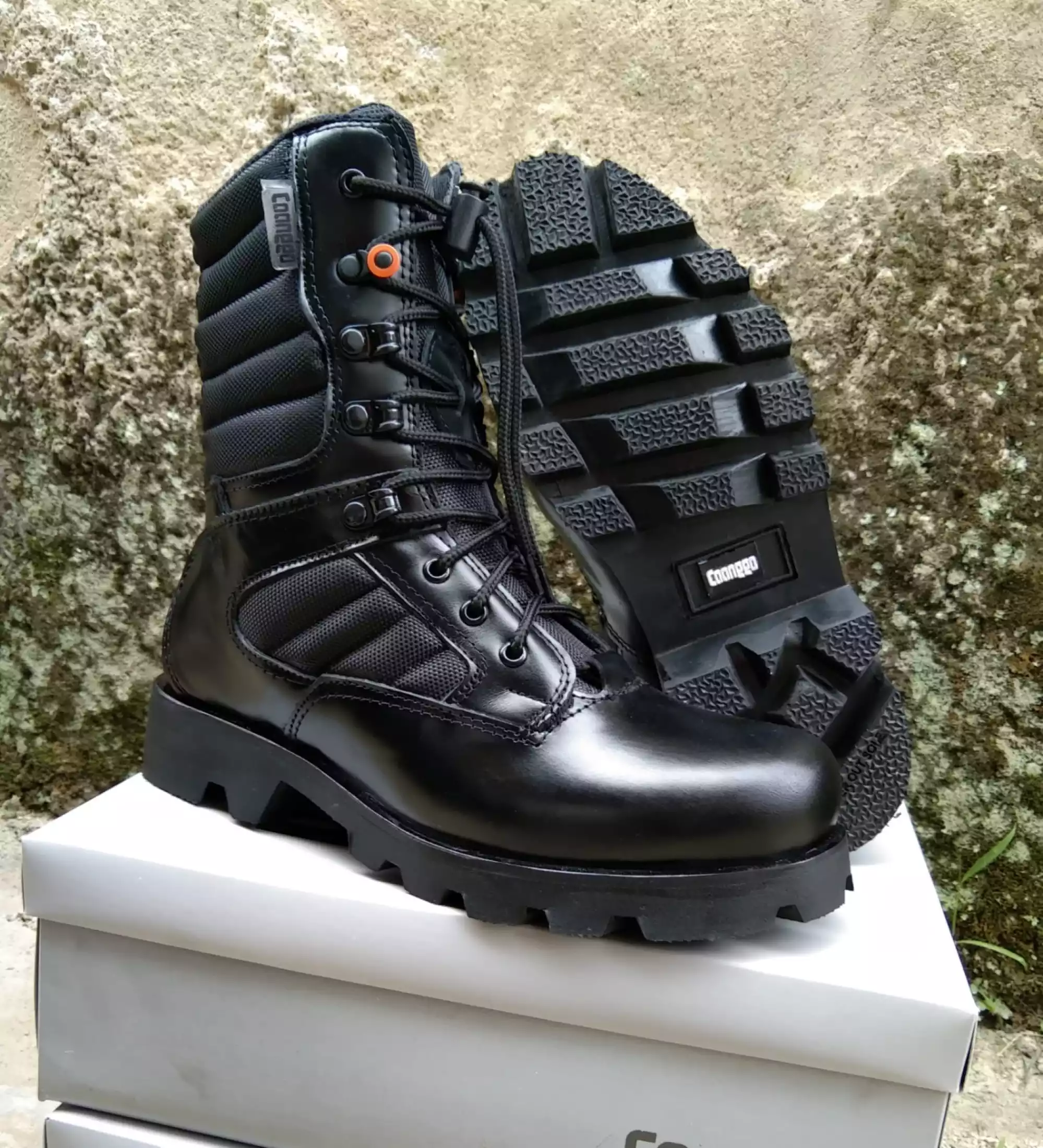 Detail Kucing Dalam Sepatu Bot Nomer 55