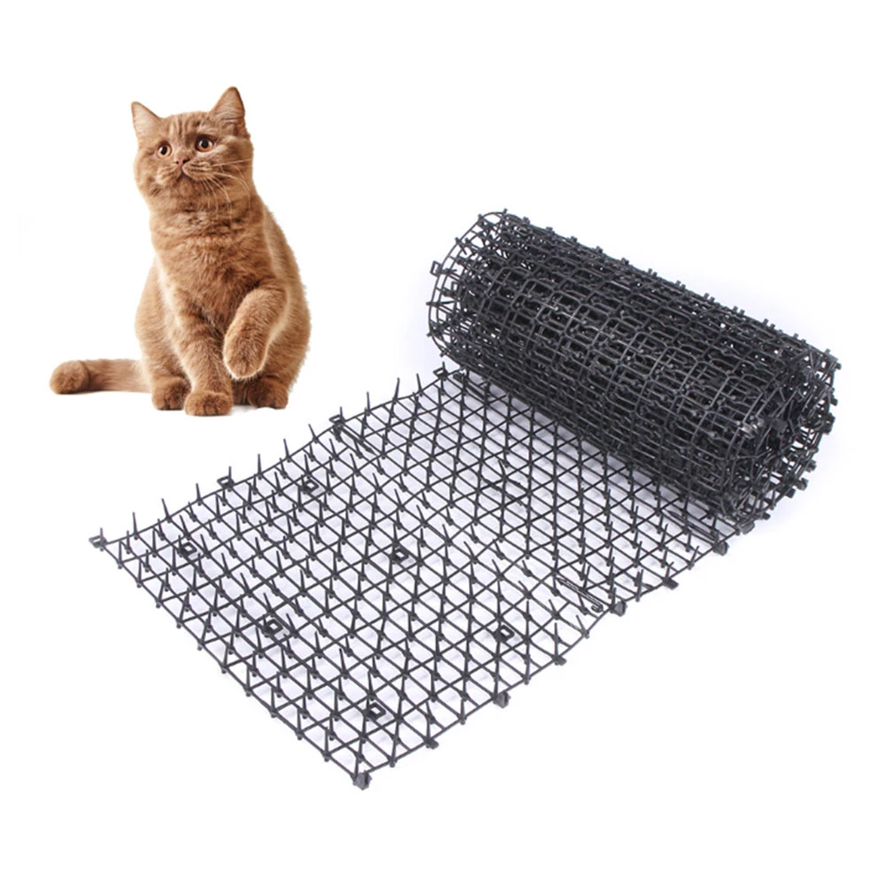Detail Kucing Garis Garis Nomer 54