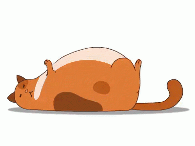 Detail Kucing Gemuk Dan Lucu Nomer 26