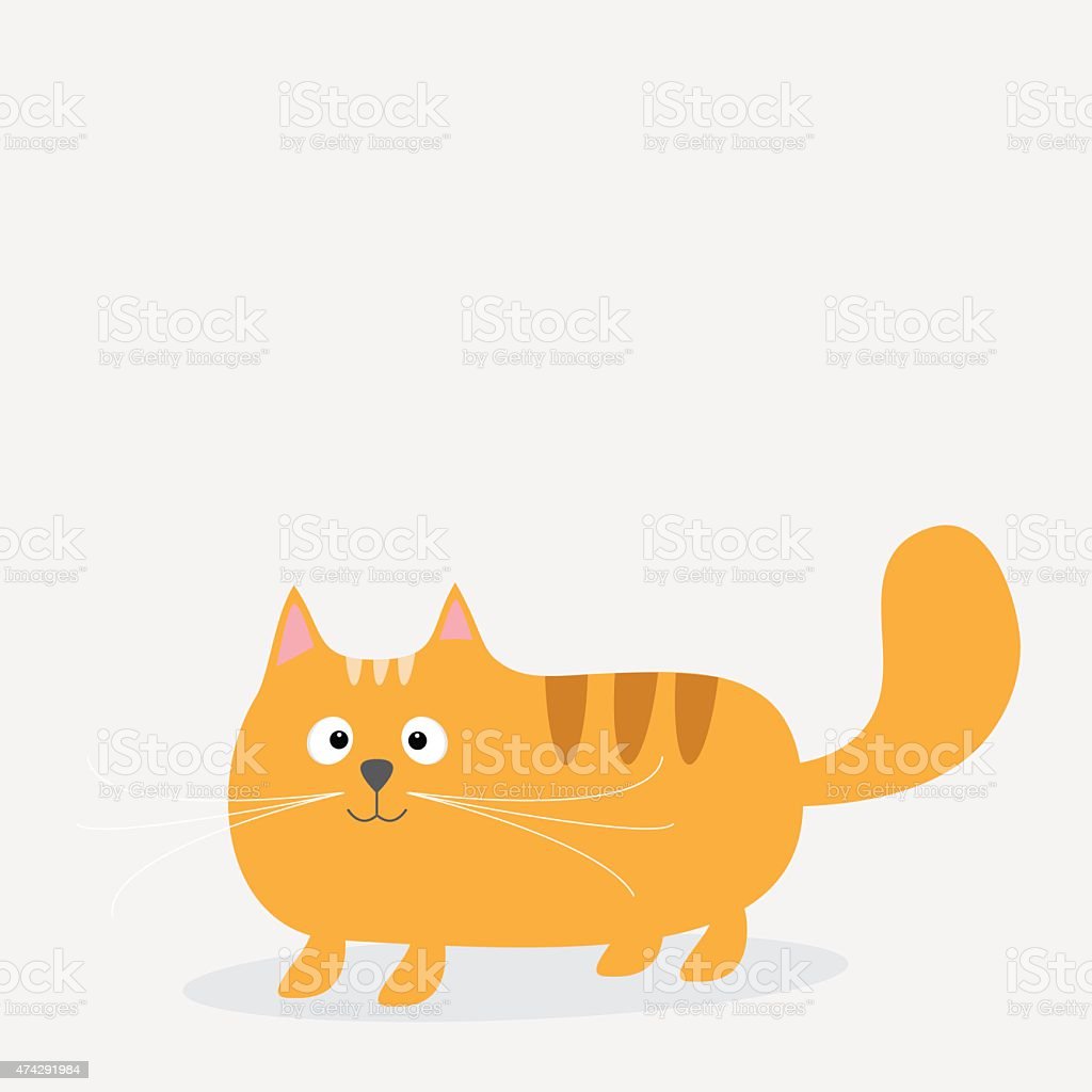 Detail Kucing Gemuk Dan Lucu Nomer 44